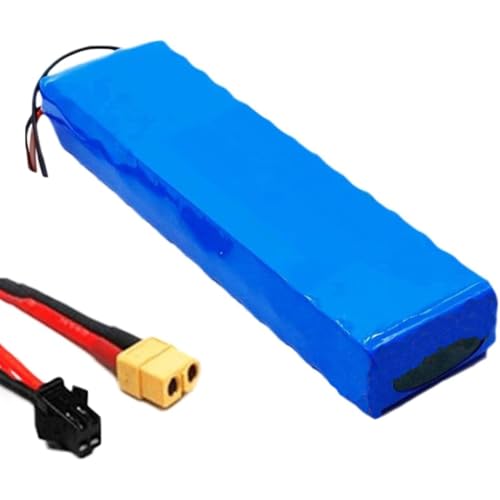 PLSZLL Batería de Bicicleta eléctrica de 36 V y 30 Ah, batería de Litio 18650 10S2P para Bicicleta eléctrica, con Cargador, Paquete de batería de Litio para Scooter de 36 V