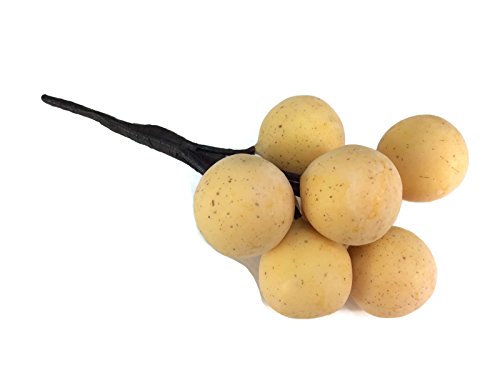 perfect2desire Langsat Lanzones Lansium parasiticum Artificial Fruit Lifelike Simulation Leaves Faux Fake Fruit Home Kitchen Cabinet Decoration Realistic Clay Assortment