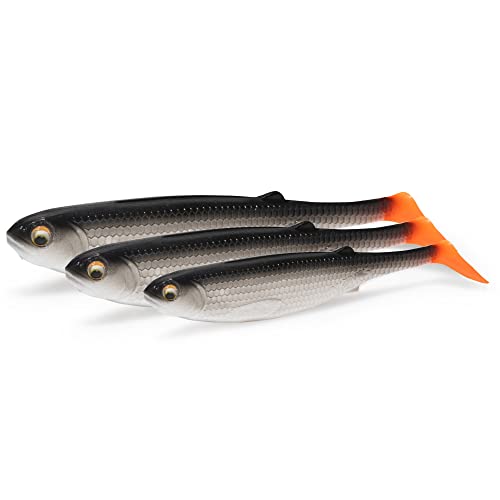 NØMIS Gummifische Richie Roach | Gummifisch Set 5er x 10 cm | Angelzubehör | Gummifische Set Hecht Zander Dorsch u. Norwegen Angeln | Angelköder | Gummiköder | Barsch