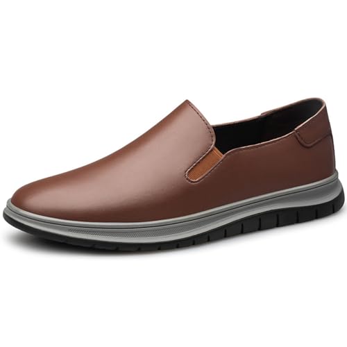 [SARFI] [t@[ Y {v EH[LOV[Y Xj[J[ vC JWA Xb| ^]C amC hCrO JV fbLV[Y y h  ʋ ʐ Ep