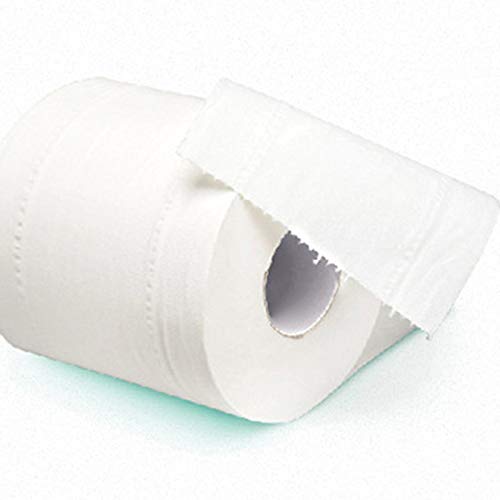 Blair 10 Rolls Toilet Paper 3-ply Bath Tissue Bathroom White Soft for Home Hotel Public