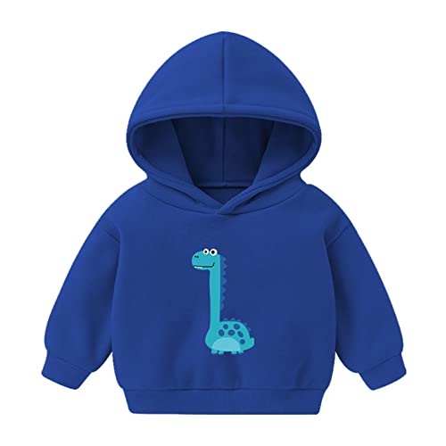Kagayd Toddler Boys Girls Sweatshirts Children Cartoon Dinosaur Prints Long Sleeves Hoodies Tops Baby Loose (Blue, 6-7 Years) #TOP28