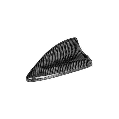 Antenne carbone BMW F10 G20 pour masquer les rayures du toit