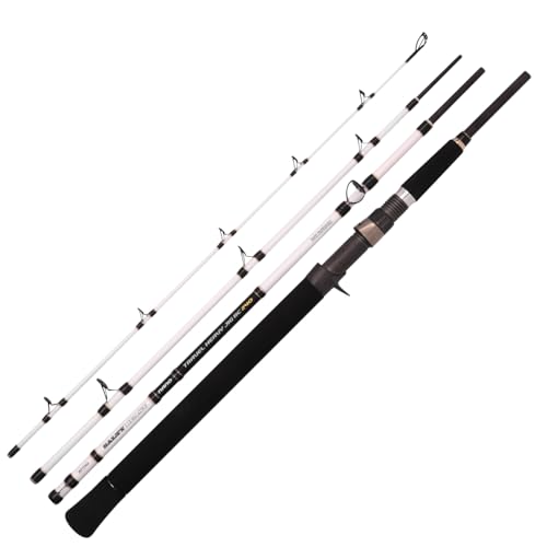 Spro Salty Beast Nano Mega Jig Travel BC 240cm 450g - Meeresrute, Reiserute, Baitcasterrute, Spinnrute, Pilkrute, Salzwasserrute, Rute zum Hochseeangeln, Jigrute