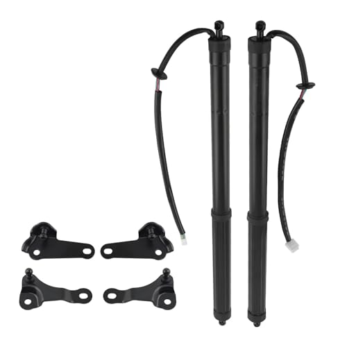 �d�C�����ԗp�K�X �X�g���b�g �ɓK������ ���N�T�X NX200t NX300h 2015-2020 ���A�p���[�d���e�[���Q�[�g���t�g�T�|�[�g�n�b�`�g�����N�K�X�X�g���b�g 6892079016 �g�����N�_���p�[