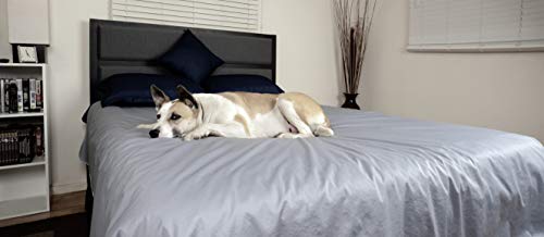 SILLY LEGACY Reversible Waterproof Protective Cover or Liner for Bed or Couch,