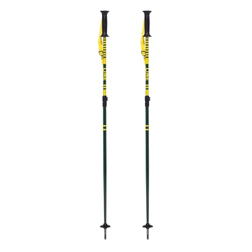 LINE Get Up Adjustable Ski Poles