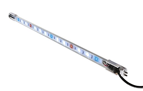 Top 10 Best Elive Aquarium Lights Reviews in 2022