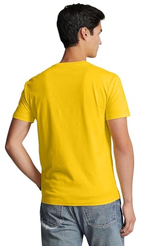 Image of Polo RL Men's Classic Fit V-Neck T-Shirt