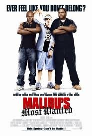 Malibu's Most Wanted (FF) (FRENCH) (DVD) [DVD]