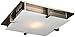 908 ORB Acid Frost Polipo Ceiling Fixture