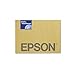 Epson S041598 Coated Paper 24 X 30 Matte 103 Brightness, 10 Sheet - White