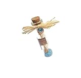 Flasche Glas Liebesbotschaft Pampa Stern Dekoration Harz Perle Weihnachtsgeschenk Schmetterling Grußkarte