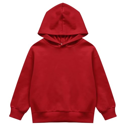Loyan Boys and Toddlers' Long Sleeve Hooded Sweatshirt Solid Color Casual Tops Pullover Hoodie2