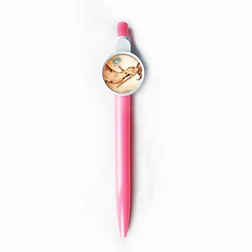 Stylo à bille rétractable signe Vierge une idée cadeau astrologique