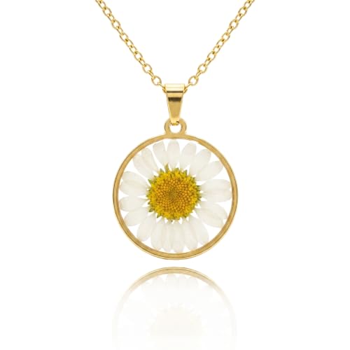 Collier marguerite fleur séchée, le cadeau fait main idéal