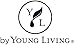 Dragon Time 15 ml Essential Oil by Young Living – Balancing & Soothing Aroma for Comfort and Relaxation – Sweet Natural Scent