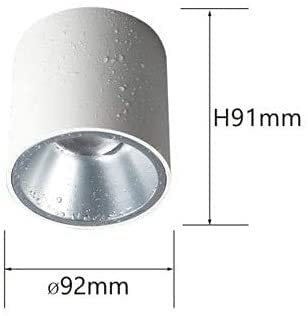 Focos de techo para baño WQHPLMD con luz LED de agua impermeable IP65 4