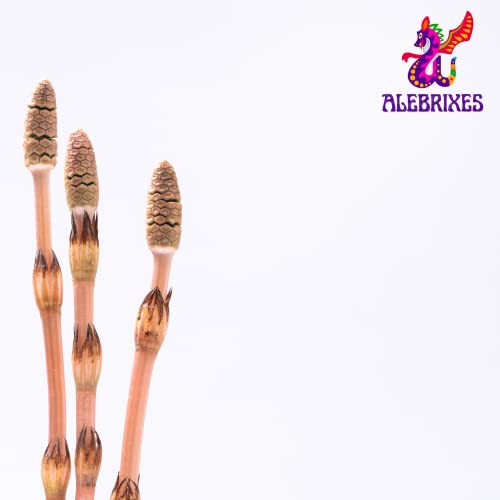 Alebrixes | Horsetail Herbal Tea 6oz (170g) | Premium Quality Whole Dried Shavegrass Tea | Te Cola De Caballo - Equisetum Arvense | Wildcrafted | Skin, Hair, Nails.