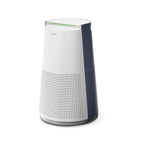 Havells Air Purifier AP310