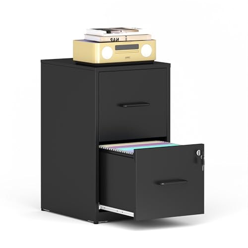 VIYET File Cabinet, Vertical File Cabinets with Lock for Home Office,Heavy Duty Office Steel Filing Cabinet for Hanging Letters/Legal/A4, Assembly Required (Black, 2 Drawers-Small)