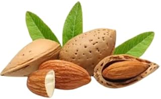 شتلات اللوز الحلو مطعم جاهز علي زراعة و الأثمار