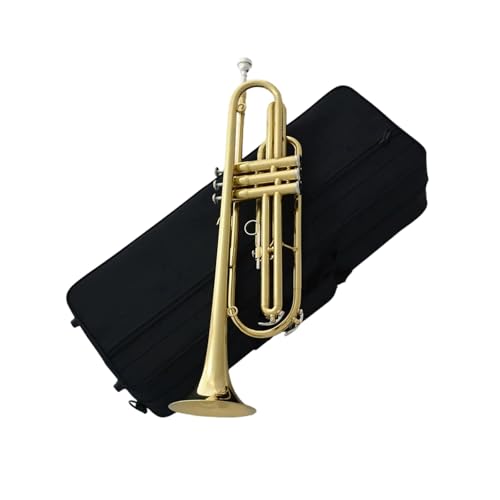 Trompeta Estándar Trompeta Baja En Mi Bemol De 3 Pistones Con Caja Lacada En Oro