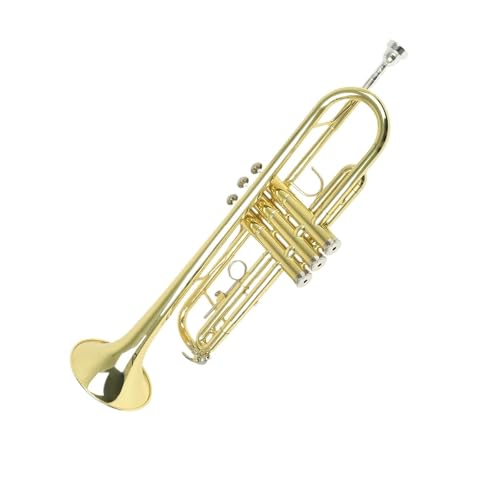 gybg gybg B ^Jf vdly P[X }EXs[X  |NXtB