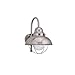 Sea Gull Lighting 89070BLE-98 Sebring - One Light Outdoor Wall Mount, Brushed Stainless Finish with Clear Seeded Glass