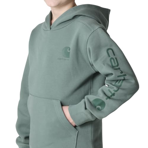 Image of Carhartt Boys Long Sleeve Hooded Sweatshirt