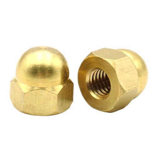 50/20/10/5/2 ^J M3 M4 M5 M6 M8 M10 M12 M14 M16 M20 Lbvibg p ی^h[wbhJo[ibg lWBp(M6 (20pcs))