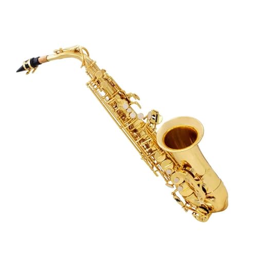 TbNX EtbgAgTbNXAǊyAXgbvAN[jONXAX^hAg}[ANZT[t