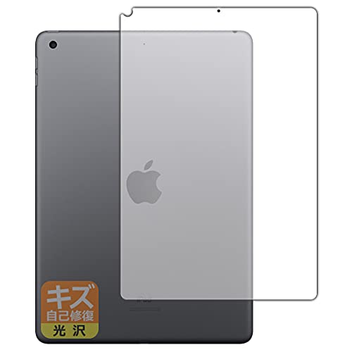 PDAH[ iPad (10.2C`)(9 2021N) [Wi-Fif] LYȏC ی tB [wʗp]  {