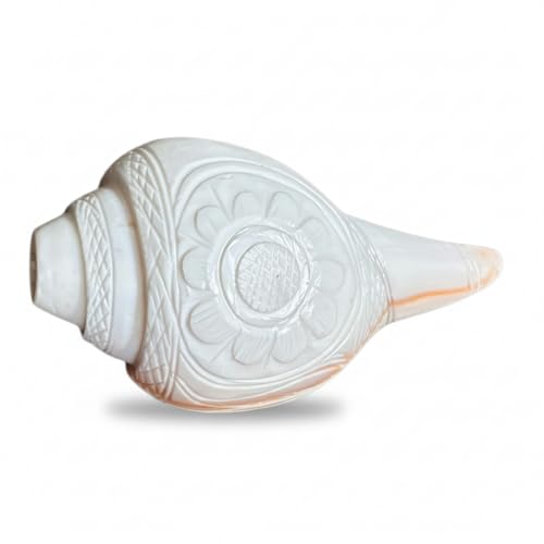 Image of Original Vamavarti Shankh for Pooja| Baynavarti Natural Conch for Puja, Temple, Home Decor, Mandir, Spiritual Use| Auspicious Loud Blowing Shankh for Vastu, Prosperity (12-15 cm)