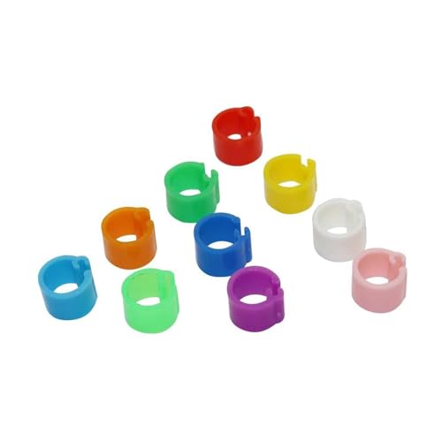 100 anillos de plástico para patas de aves (6 mm de diámetro interior y 7 mm de ancho) para palomas y codornices