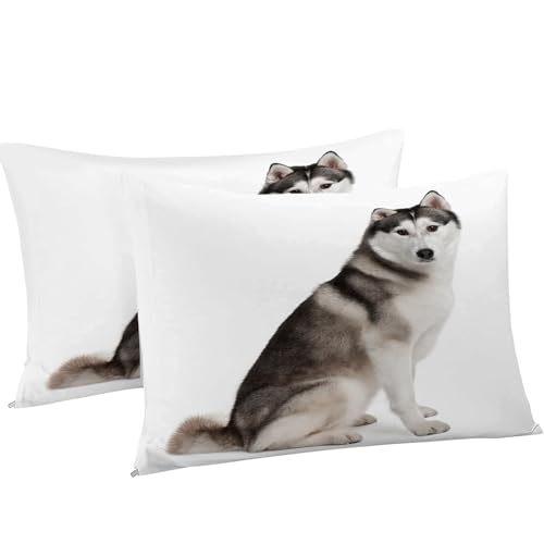 Housse de couette 200x200 husky en microfibre douce anti-plis à fermeture éclair