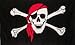 6 ft. Bandanna Pirate Skull Safety Flag with 1/4