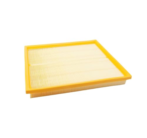 Filtre 10137097 robuste de conception supérieure pour votre moteur