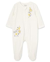 Ivory Floral Splash/Dot