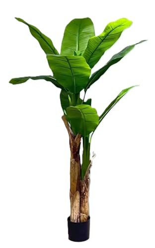 HST Kunstpflanze Bananenbaum im Topf 160 cm – täuschend echt, pflegeleicht, formbare Blätter – Kunstpalme Kunstblume Kunstbaum für Wohnzimmer Büro Schlafzimmer, Textilgewebe/PVC, Topf Ø 15 cm HST Kunstpflanze Bananenbaum im Topf 160 cm – täuschend echt, pflegeleicht, formbare Blätter – Kunstpalme Kunstblume Kunstbaum für Wohnzimmer Büro Schlafzimmer, Textilgewebe/PVC, Topf Ø 15 cm