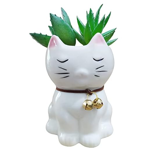 Succulent Pots,Cute Cartoon Home Decoration Ceramic Succulent Flower Pots - Plant Not Included (Small, Cat)