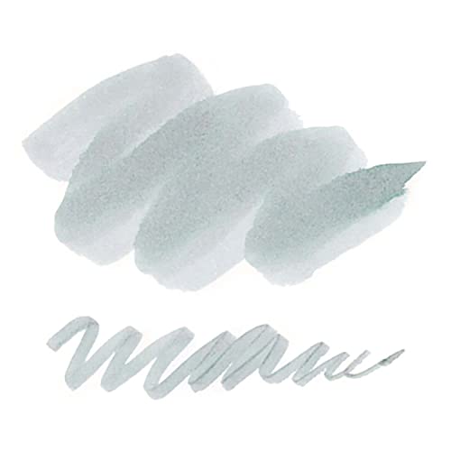 Sailor 13-1529-206 Fountain Pen, Bottle Ink, Flickering Ink, Frozen Sky, Itezora Dye, 0.7 Fl Oz (20 Ml) #TOP3