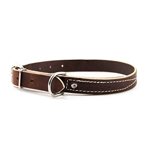 Leerburg Amish Soft Latigo Leather 1" Wide Collar (Sizes fit Necks 17"-23") w/Stainless Steel Hardware