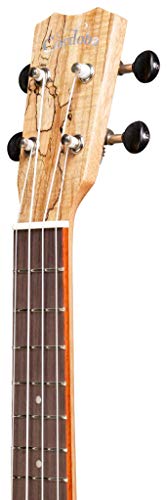 Cordoba-Soprano-Ukulele5