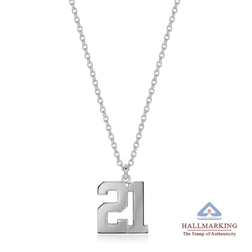 Image of TRUESILVER ACPL Personalized 925 Sterling Silver Name Necklace for Women & Girls | Customized Name Pendant Necklace | Custom Jewelry Gift for Birthday Anniversary Wedding