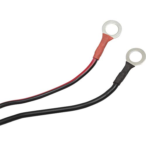 Fervi 0447 Caricabatteria Intelligente, 12V, Set