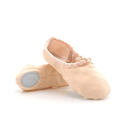 Ballet Shoe Ballet for Girls Leather Soles Dance Shoes Girls Canvas Ballet Slippers Flats,SHhg894064001-Nude-29 EU