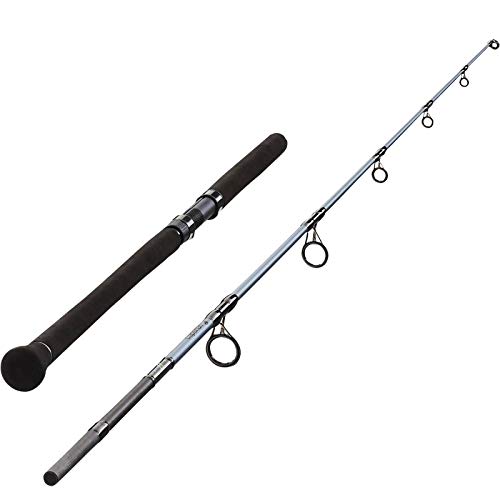 decathlon fishing rod
