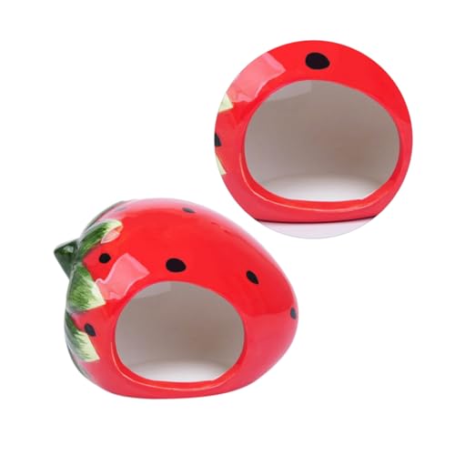 Frcolor Z~bNybgxbhnEX t[c^nX^[nEX C`SfUC ` nX^[P[Wp CeA 