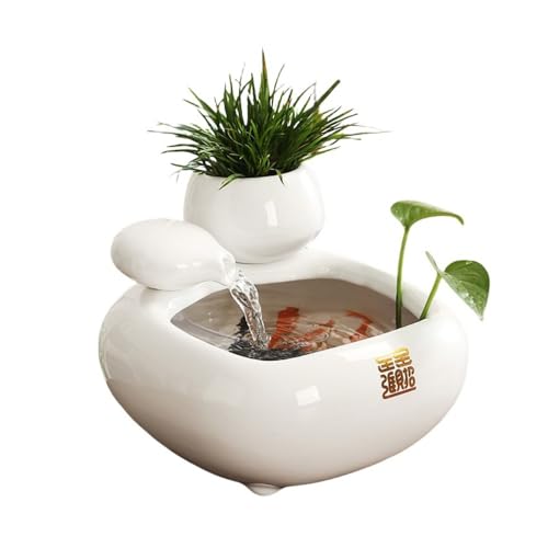 SENKAR Z~bNz fXNgbvItBX i R[q[e[upi 24#u (17yi+ԕtV_[z+)